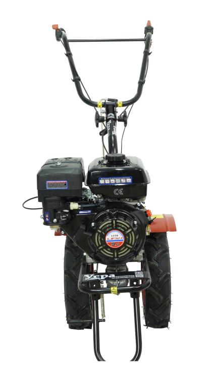  PicZip q65 (15:44:40 06.12.2022 85% PROGRESSIVE 168338>>>25817)