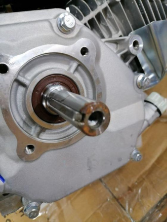  PicZip q65 (15:45:00 06.12.2022 78% PROGRESSIVE 221419>>>47715)